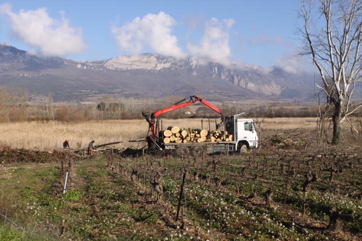 IMG_5762_Pequeño.JPG
