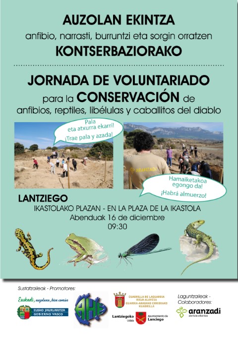Jornada-Voluntariado-1_Pequeño.jpg