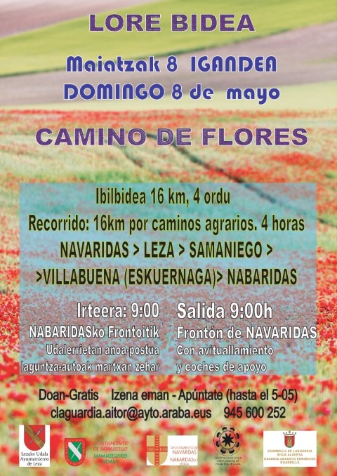 Camino de Flores 8 5 2022 Pequeño