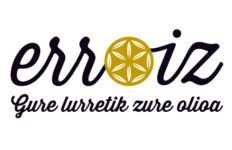 cropped logo ERROIZ e1604679357390