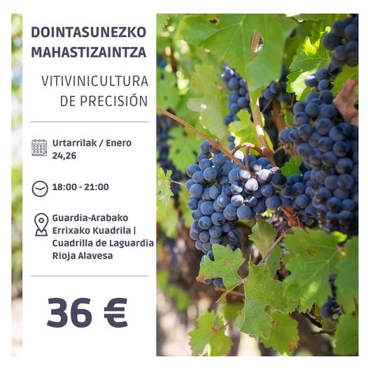 viticultura_precisión.jpg